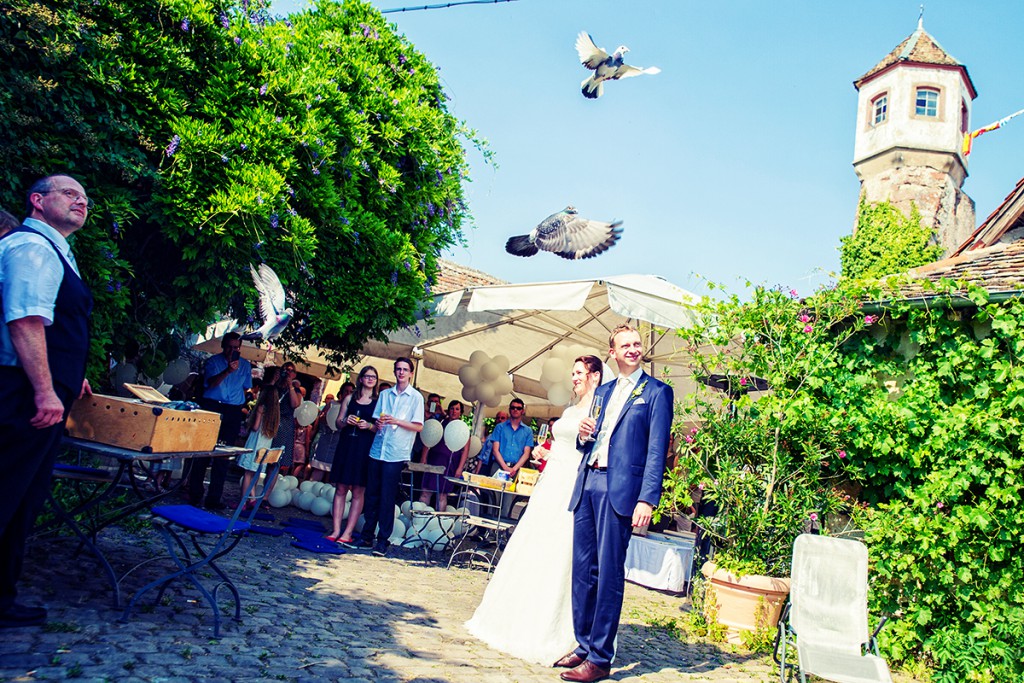 4Hochzeitstauben